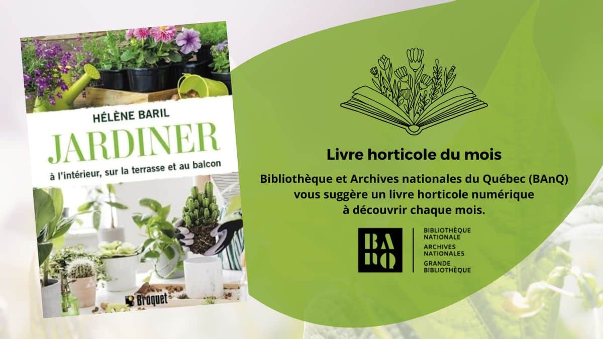 Jardiner à l&rsquo;intérieur, sur la terrasse et au balcon: livre du mois de BAnQ