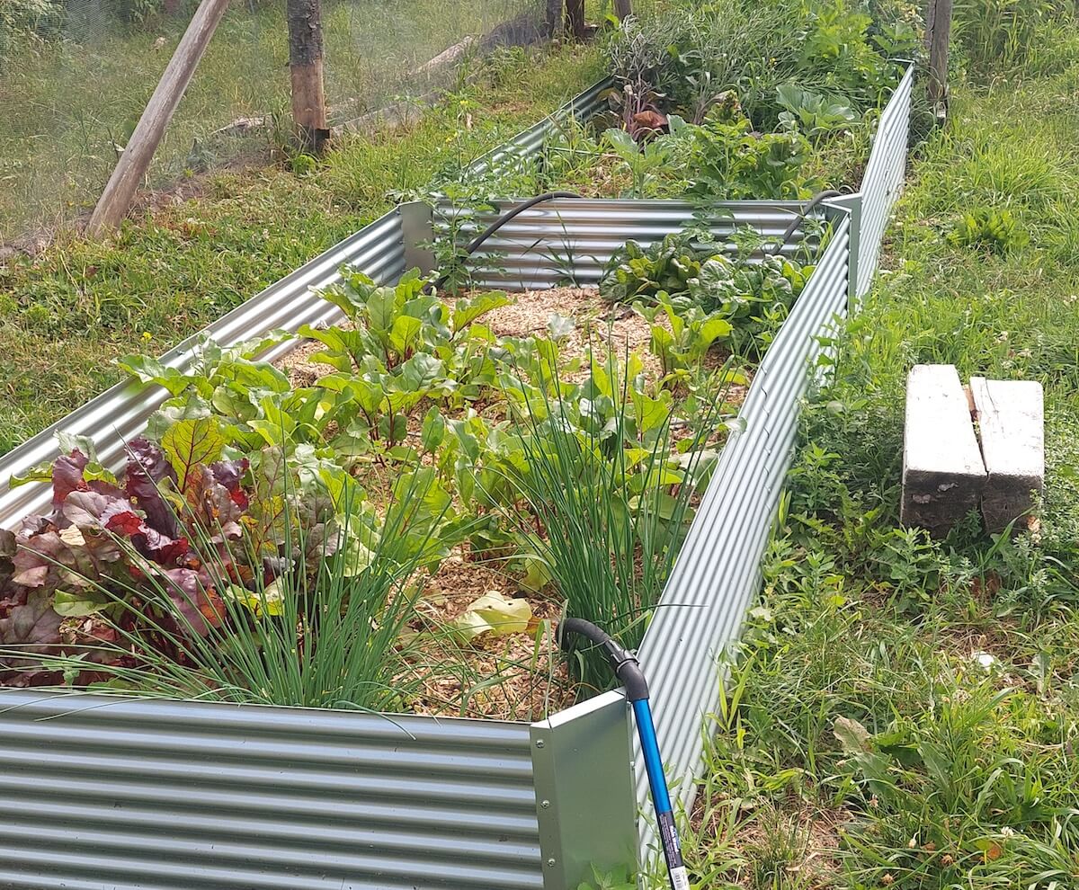 Un jardin de 7 ans, à quoi ça ressemble?